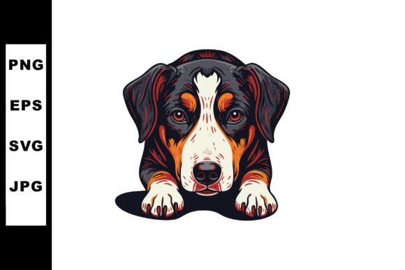 Greater Swiss Mountain Dog Lying Down Wi