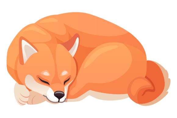 Sleeping Shiba Inu. Cute Red Hair Dog